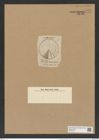 Actinocyclus interpunctatus Ralfs. (de-Toni-Nr.: Genus 195, Species 4801/72) Zeichnungen Sammlung Grunow Nr. 8451 (NHMW-BOT-W0377905)